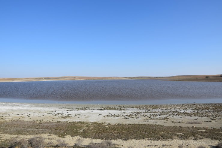 Her yıl pembeye bürünen göl, kahverengi oldu