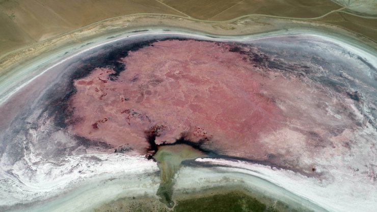 Her yıl pembeye bürünen göl, kahverengi oldu