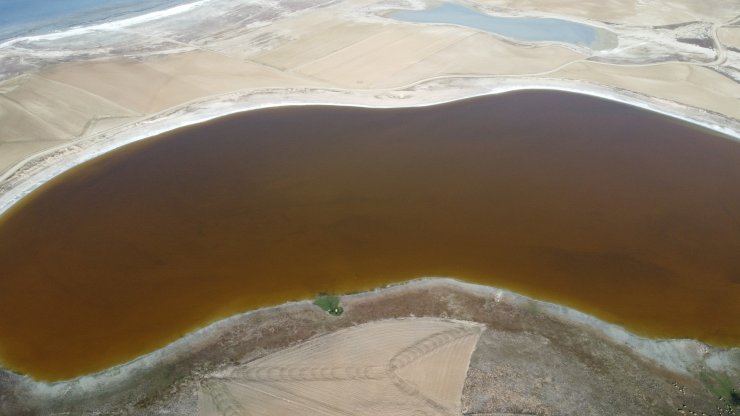 Her yıl pembeye bürünen göl, kahverengi oldu