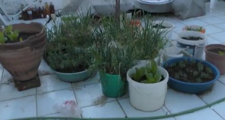 Uyuşturucu ticaretine 19 gözaltı