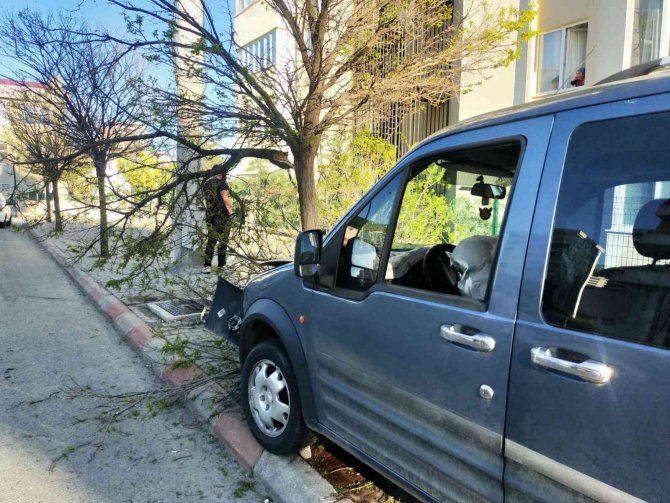 Araç çarptığı ağacı yerinden söktü