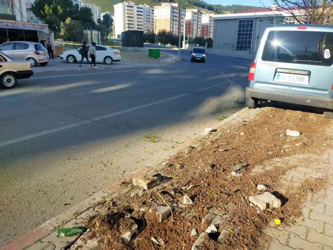 Araç çarptığı ağacı yerinden söktü