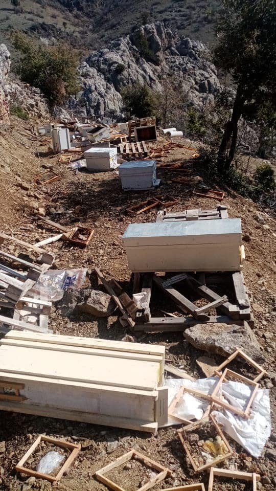 Ayılar arı kovanlarını parçaladı