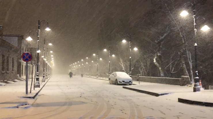 Erzurum, Ardahan ve Kars'ta nisan karı