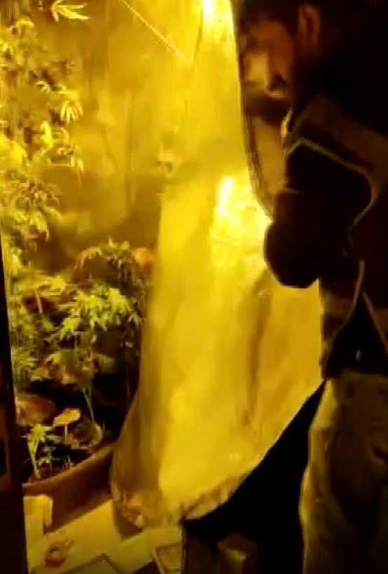 Evi uyuşturucu tarlasına dönüştürdüler