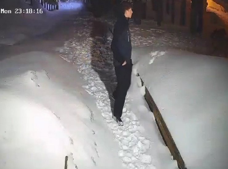 Görüntülediği ayıların saldırısından köpekleri kurtardı