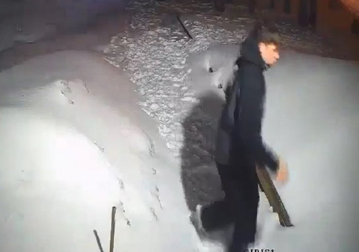 Görüntülediği ayıların saldırısından köpekleri kurtardı