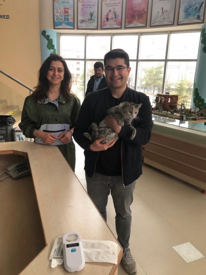 Hayata döndürülen kedi için Başkan Akkaya’ya teşekkür