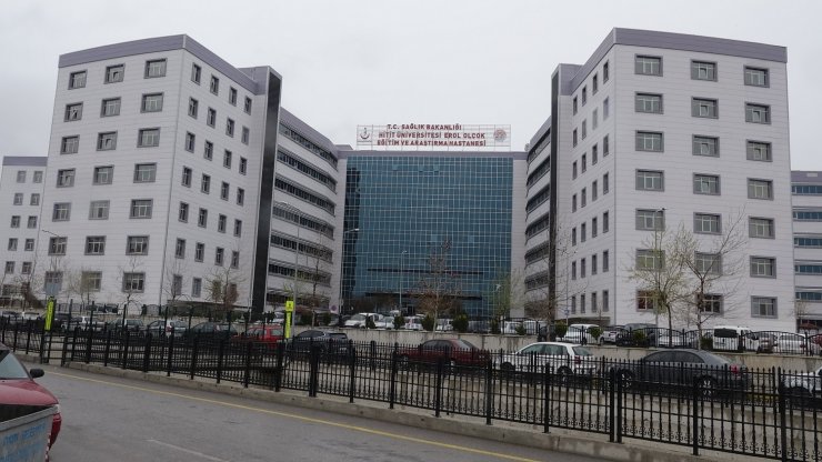 Kayınpeder ile gelininin öldüğü kavga, ceviz dikme yeri tartışmasından çıkmış