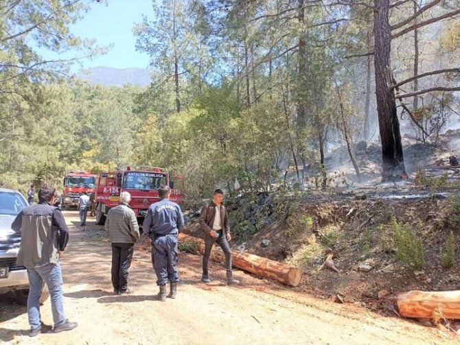 Antalya’da orman yangını büyümeden söndürüldü