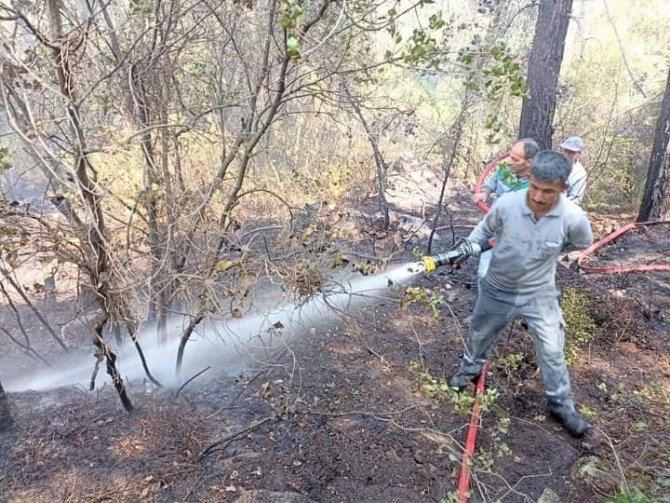 Antalya’da orman yangını büyümeden söndürüldü