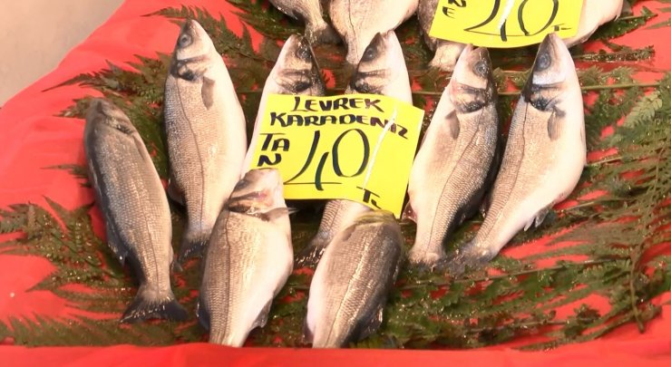 Balıkçılar: Mayın yüzünden 15 gün erken paydos ettik