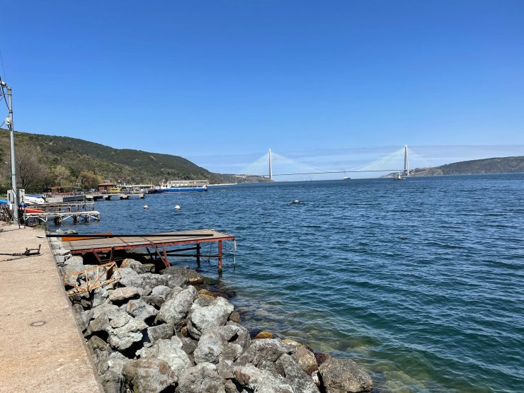 Balıkçılar: Mayın yüzünden 15 gün erken paydos ettik