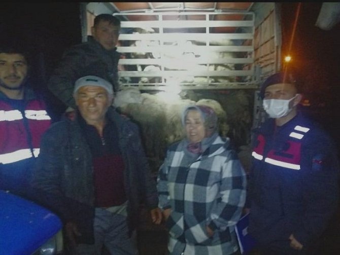 Balya’dan çalınan koyunlar Kepsut’ta ele geçirildi