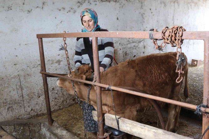 Başkan Deveci: “Amacımız tarım ve hayvancılığı desteklemek”