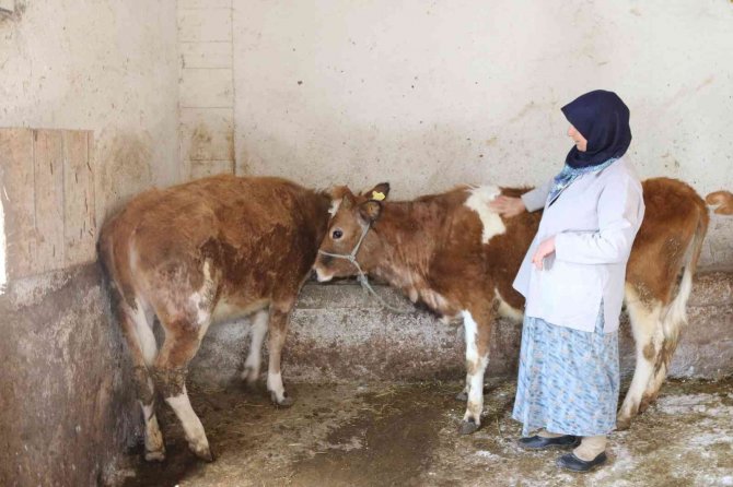 Başkan Deveci: “Amacımız tarım ve hayvancılığı desteklemek”