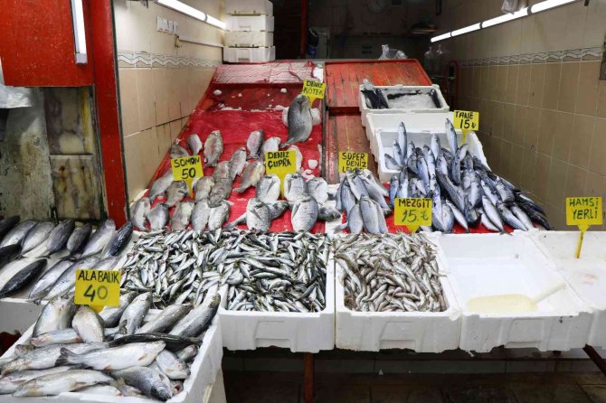 Karadeniz’de balık sezonu yasaktan önce bitti