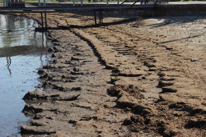 Kokuyu alan sahili terk etti