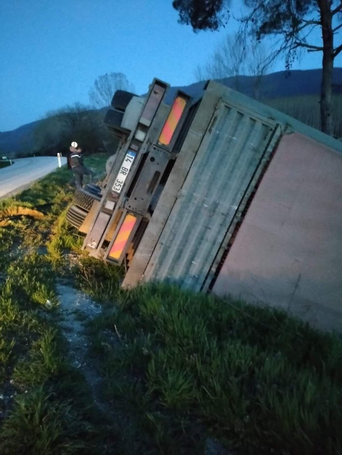 Kontrolden çıkan tavuk yüklü kamyon devrildi: 1 yaralı