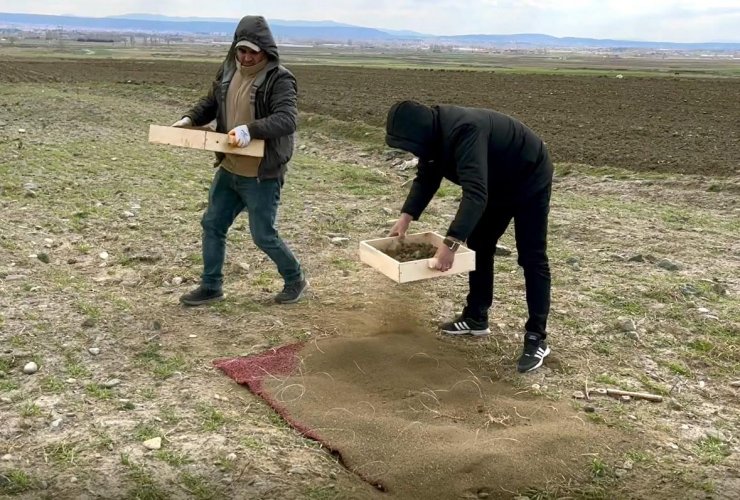 Nesli tehlikede olan küçük akbabalar, uydudan takip edilecek