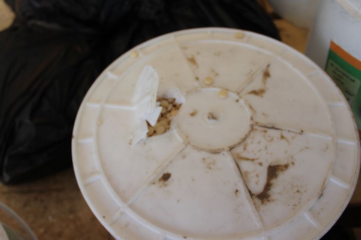 Turşu bidonlarından uyuşturucu çıktı