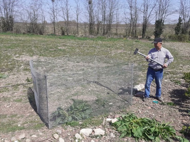 Bahçede bulunan kırmızı orman karıncası yuvası, korumaya alındı