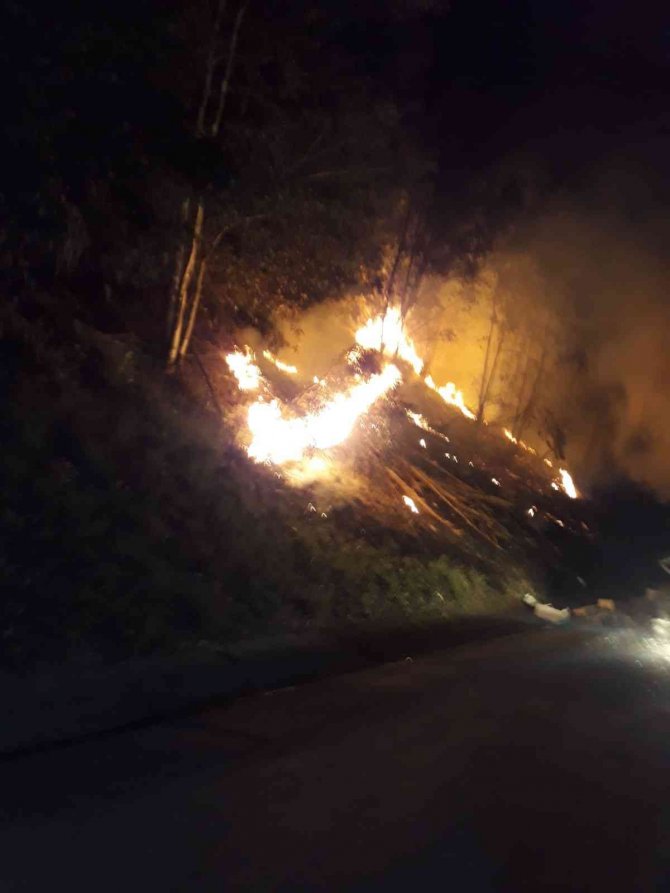 Balık yüklü kamyonet cayır cayır yandı