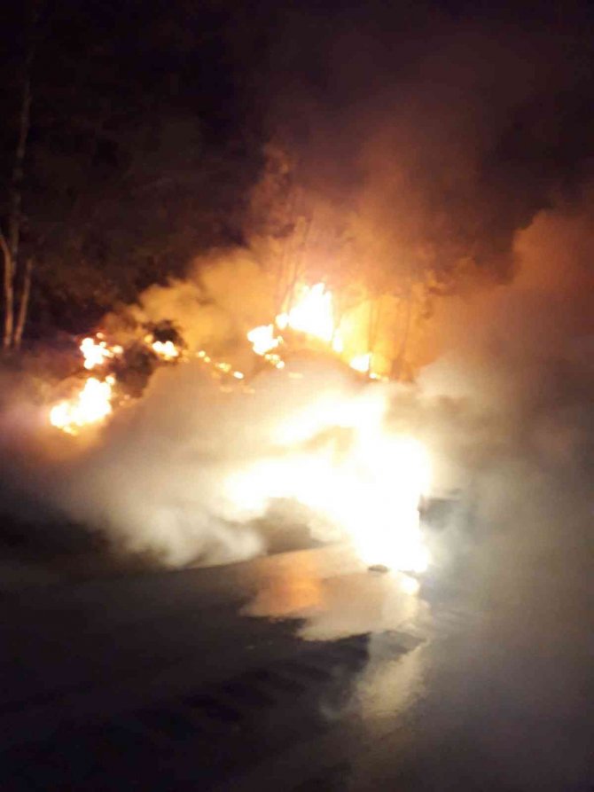 Balık yüklü kamyonet cayır cayır yandı