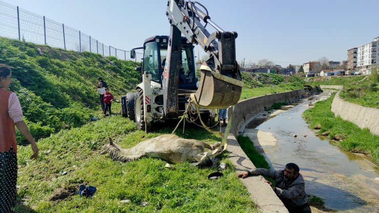 Dere yatağına düşen atının başından ayrılmadı