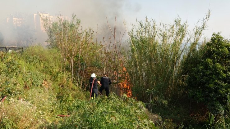 Falezlerdeki yangını görüntülemek için birbirleriyle yarıştılar
