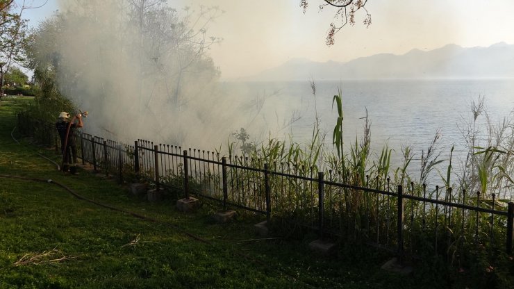 Falezlerdeki yangını görüntülemek için birbirleriyle yarıştılar
