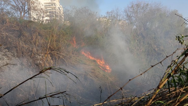 Falezlerdeki yangını görüntülemek için birbirleriyle yarıştılar