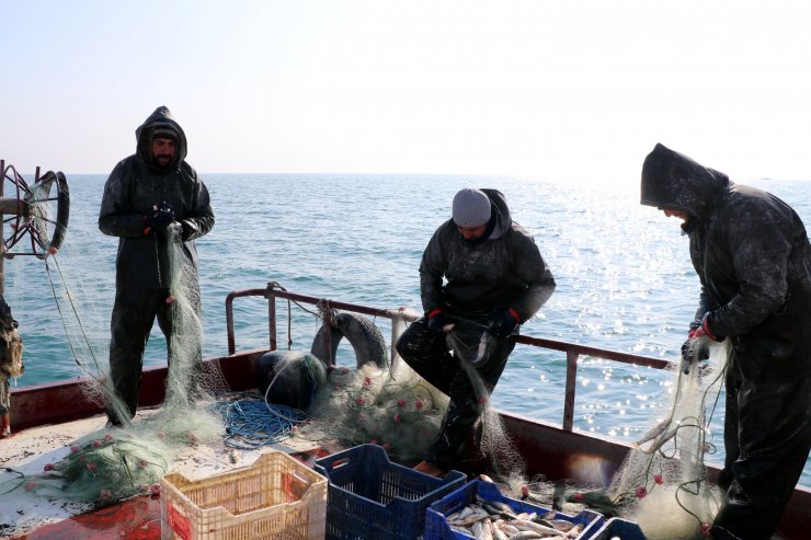 inci kefalinin korunması için okullarda eğitim veriliyor