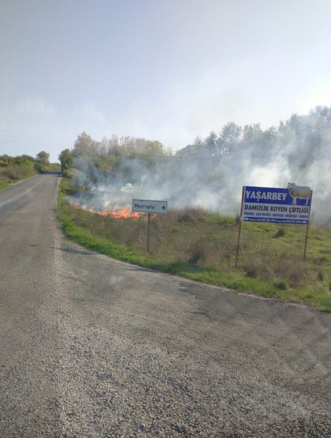 Otluk alanda çıkan yangın korkuttu