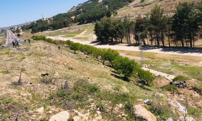 Otomobil şarampole yuvarlandı: 1 yaralı