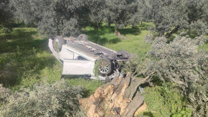 Otomobil zeytinliğe uçtu: 2 yaralı