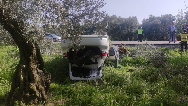 Otomobil zeytinliğe uçtu: 2 yaralı