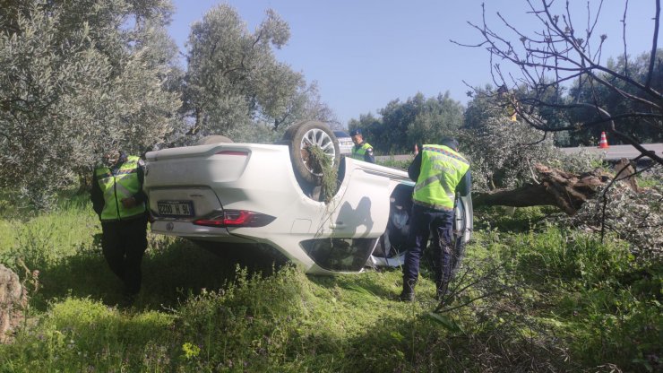 Otomobil zeytinliğe uçtu: 2 yaralı
