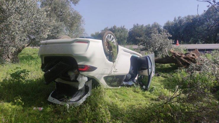 Otomobil zeytinliğe uçtu: 2 yaralı