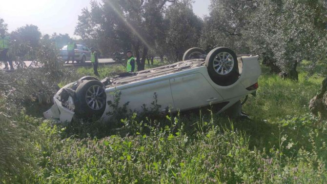 Otomobil zeytinliğe uçtu: 2 yaralı