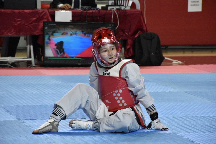 Türkiye Yıldızlar Tekvando Şampiyonası, Sivas'ta başladı