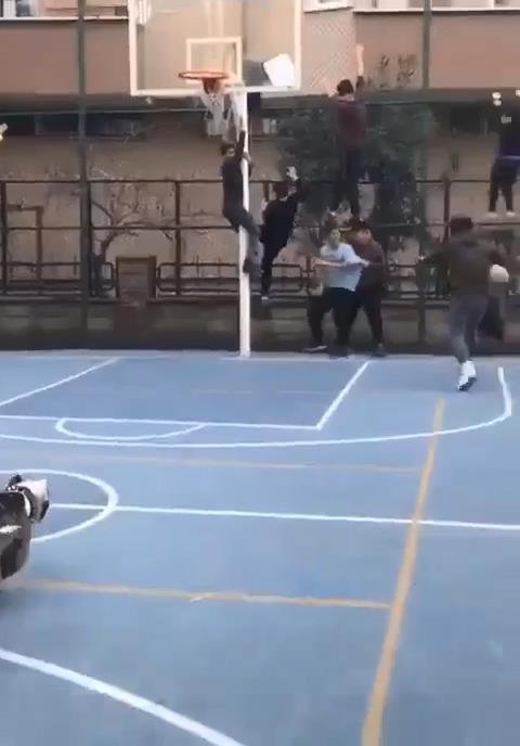 Pitbul'la şaka basketbol sahasındaki çocuklara dehşeti yaşattı