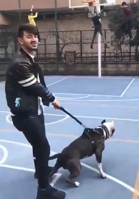 Pitbul'la şaka basketbol sahasındaki çocuklara dehşeti yaşattı