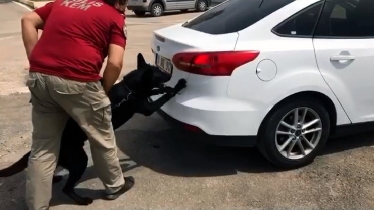 Polisin takip ettiği araçtan 24 kilo esrar çıktı