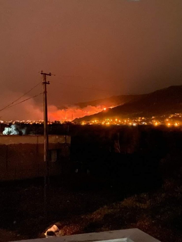 Hatay'da orman yangını