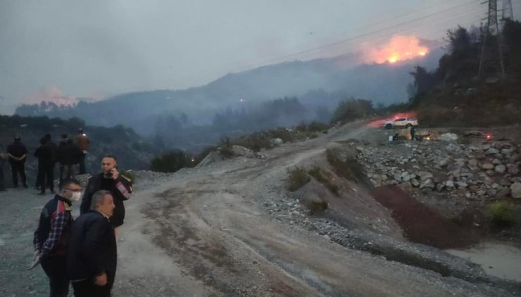 Hatay'da orman yangını