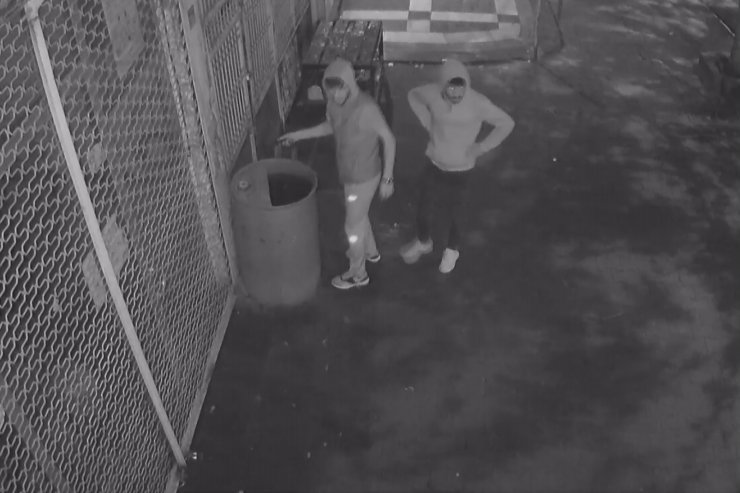 İş yeri önüne bırakılan şüpheli valizden 7 kilo esrar çıktı