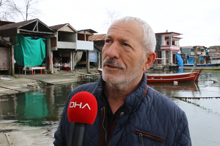 Karadeniz’de 3 ayda 33 ölü yunus karaya vurdu