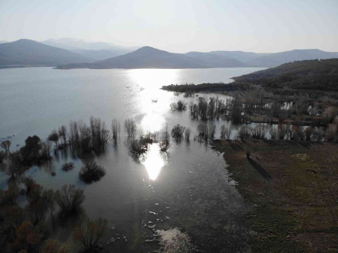 Yağışlı geçen kış sonrası barajlar doldu, yüzler güldü