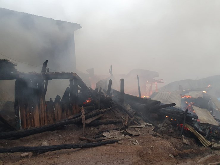 Ahır yangınında 5 büyükbaş öldü